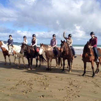 Ahipara Horse Treks
